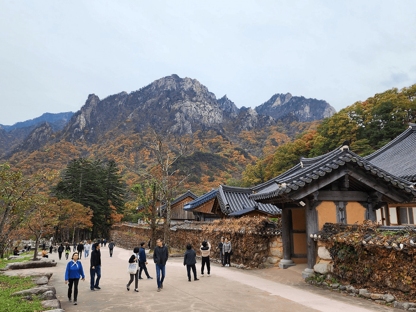 koreya-osenyu-tur-kupit.png
